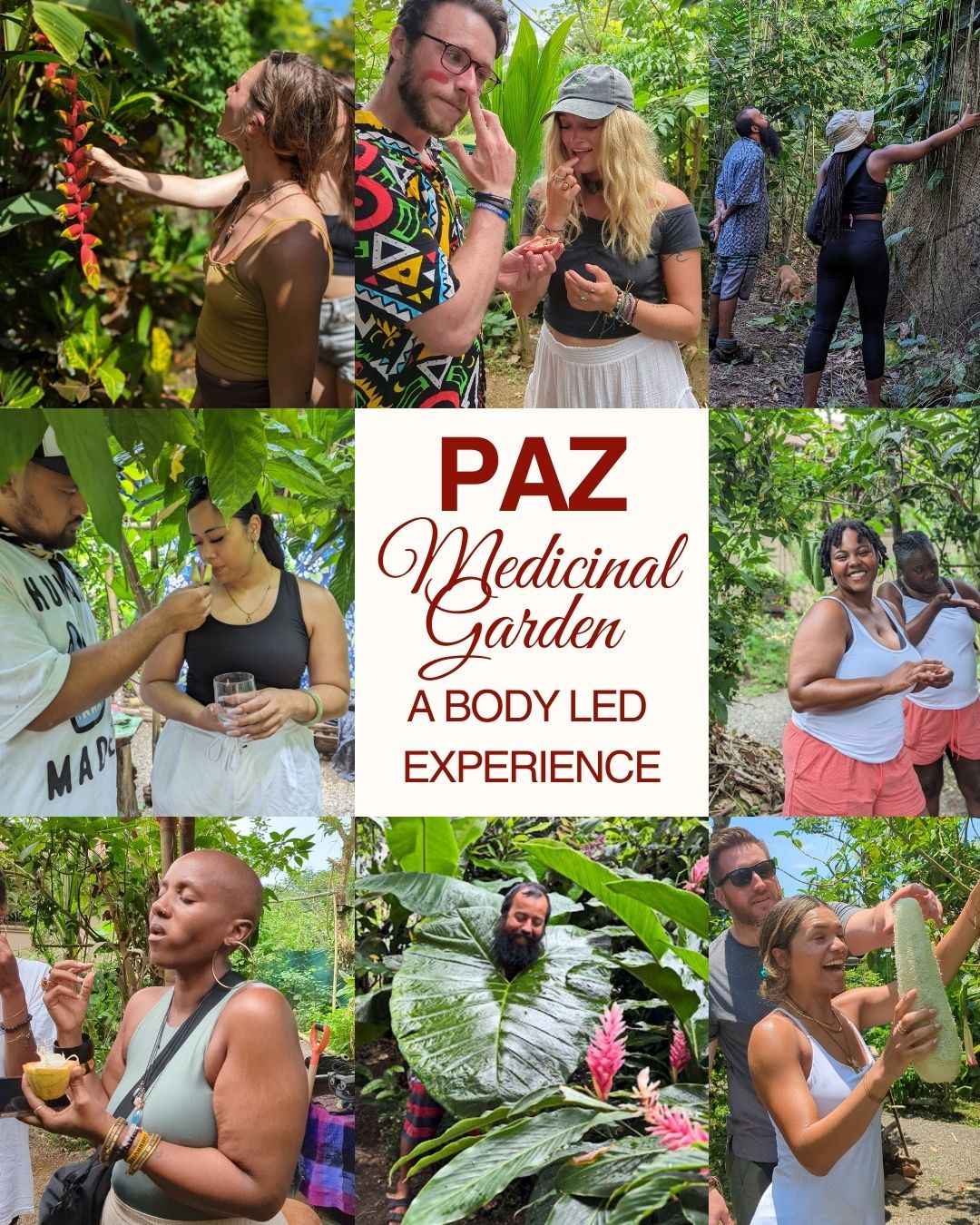 Paz Medicinal Plant Tour