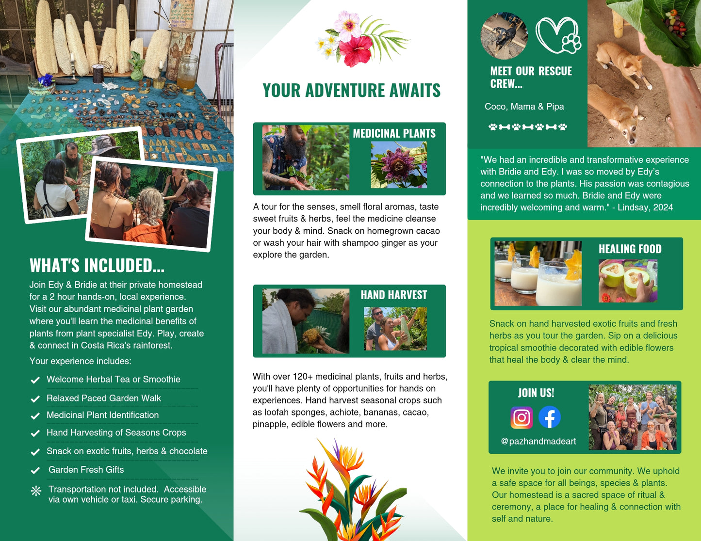 Paz Medicinal Plant Tour
