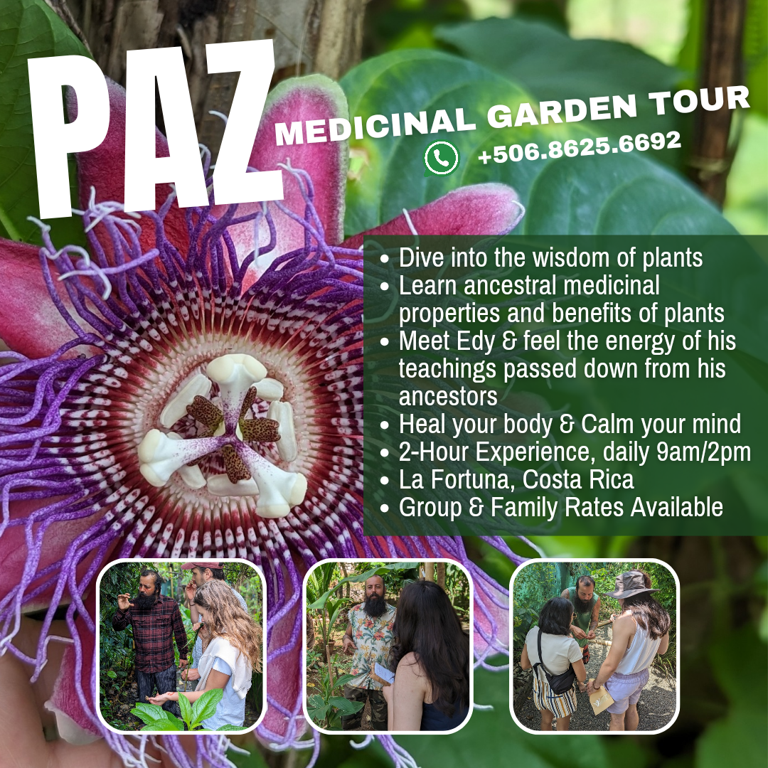 Paz Medicinal Plant Tour