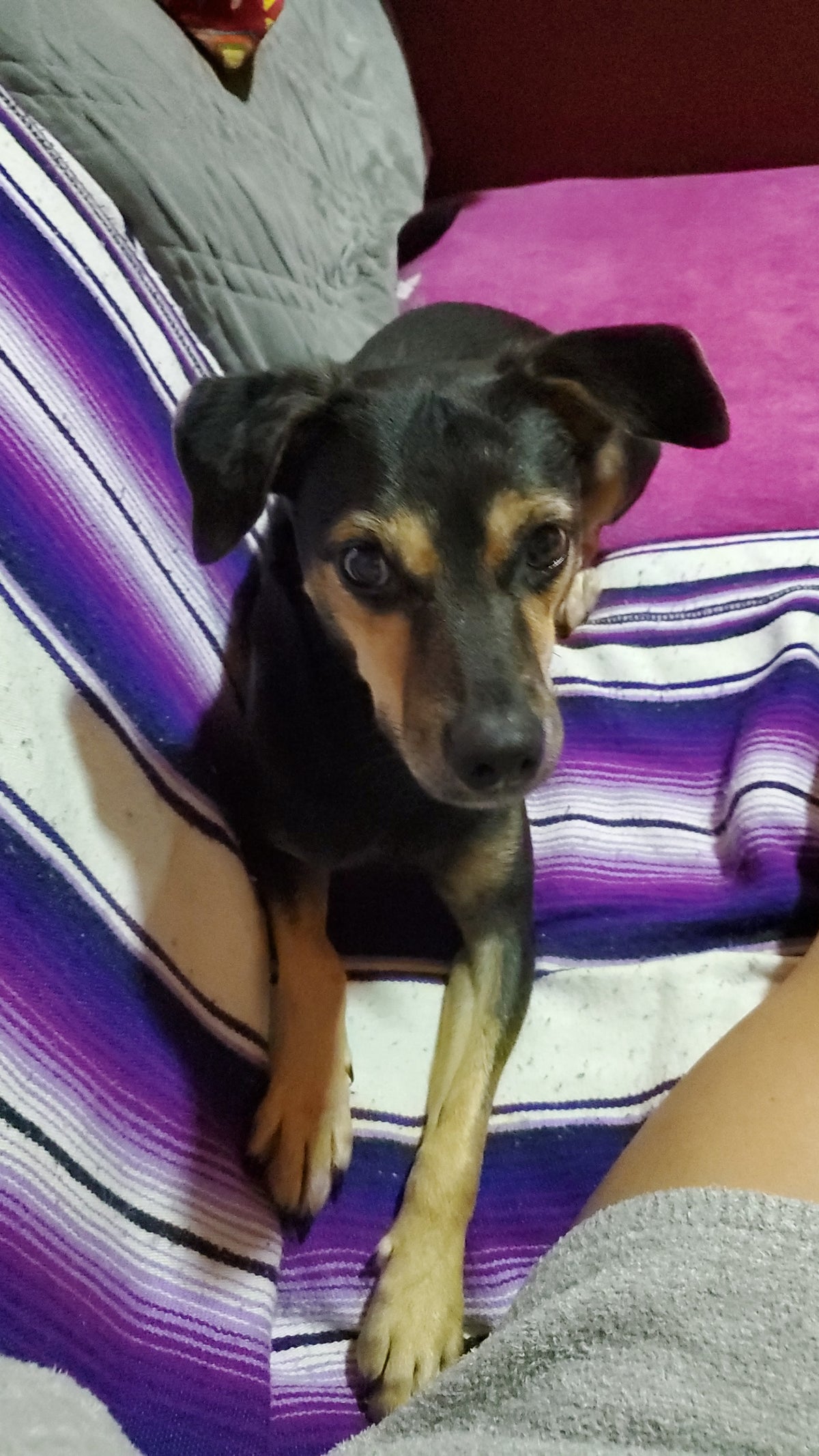 Coco's Healing Fund