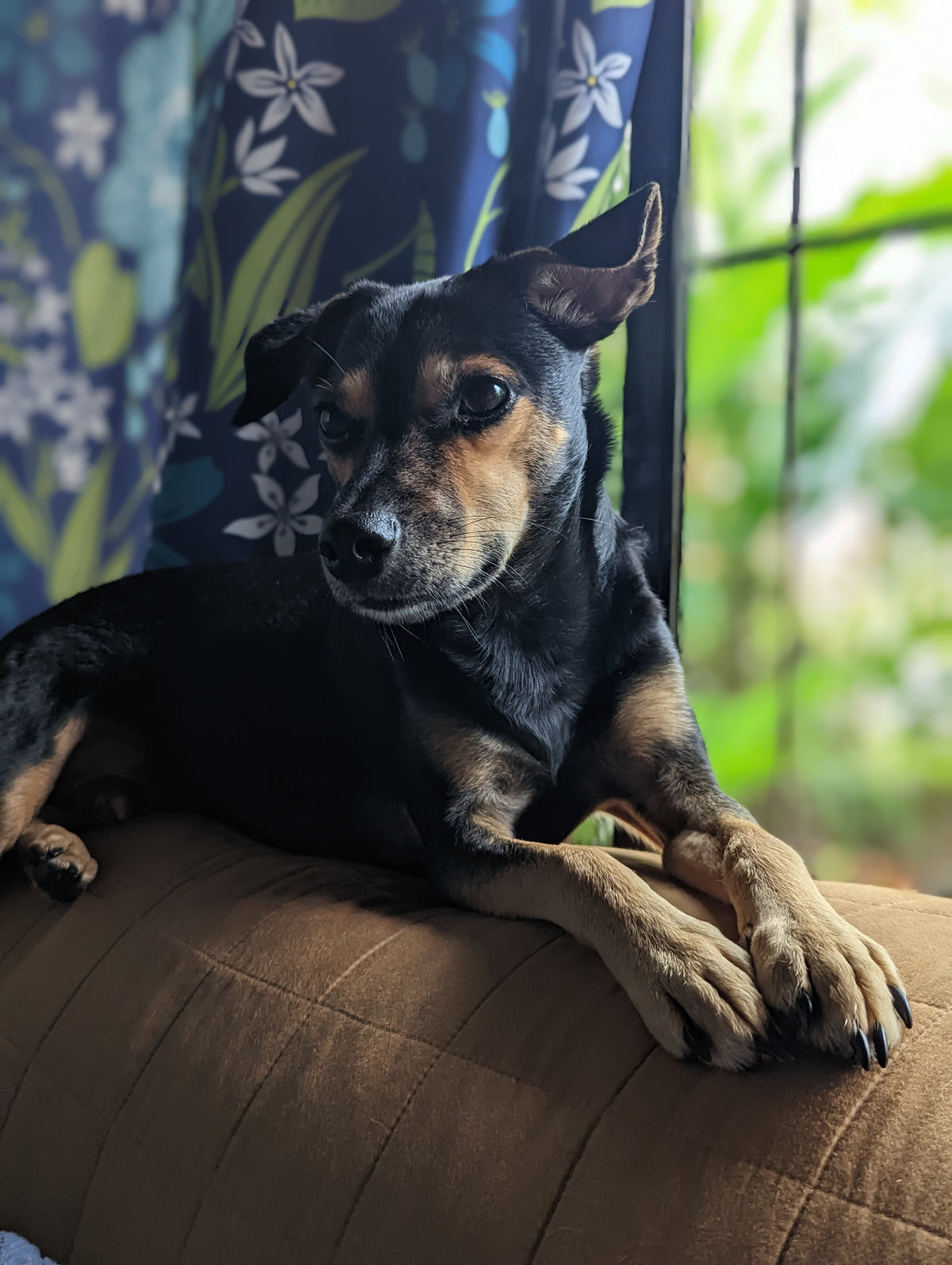 Coco's Healing Fund